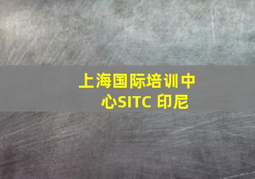 上海国际培训中心SITC 印尼